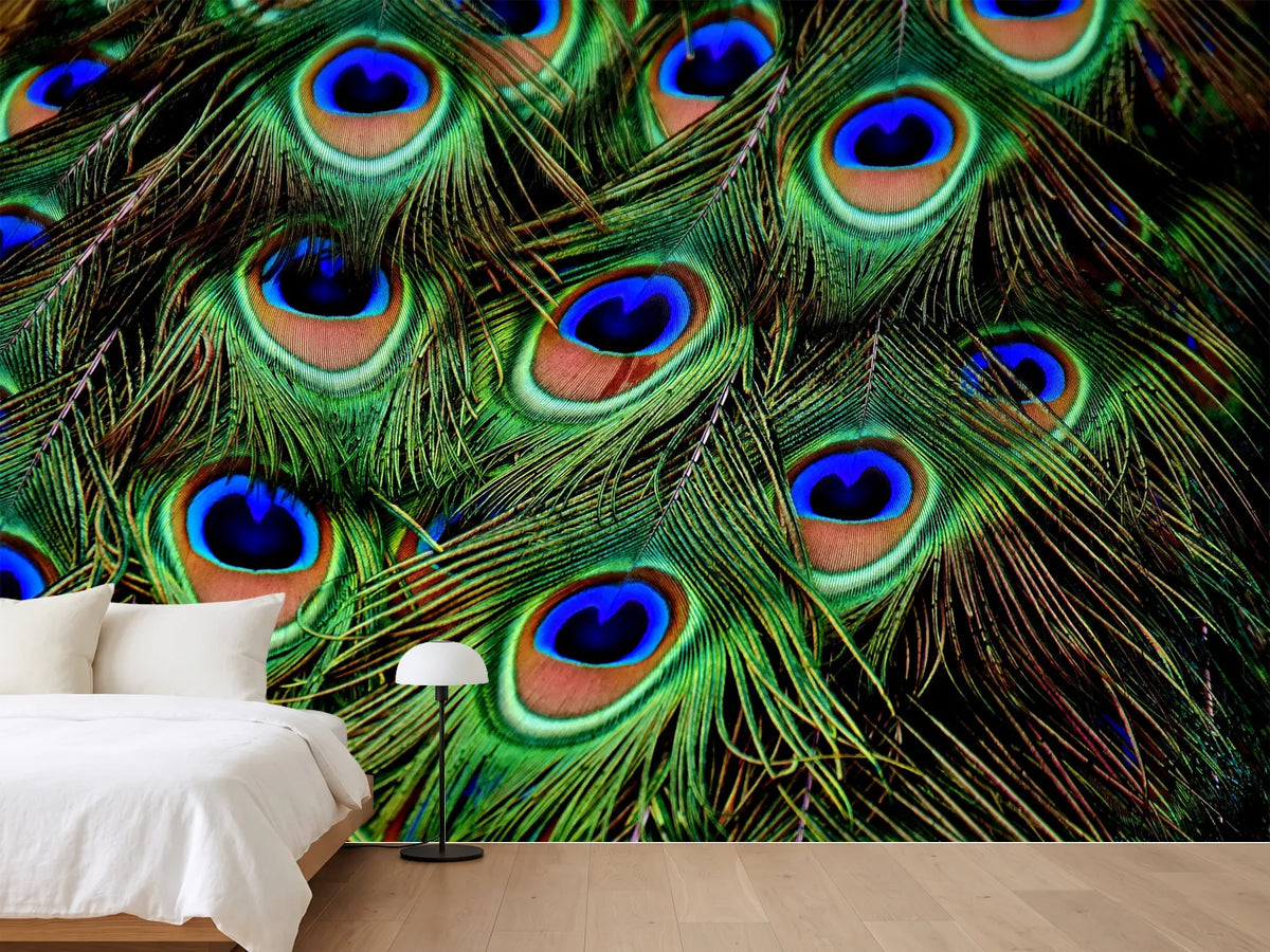 photo-wallpaper-peacock-feathers-xxl