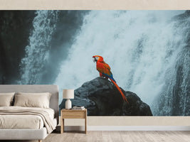 photo-wallpaper-scarlet-macaw-on-a-wet-rock-before-a-roaring-waterfall