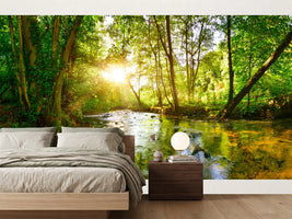 photo-wallpaper-stream-through-the-forest-in-the-bright-light-of-the-sun