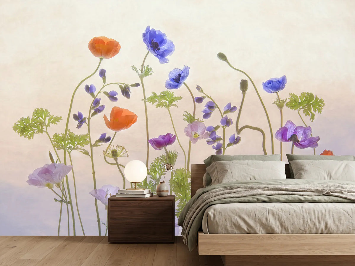 photo-wallpaper-poppy-a-anemone-x