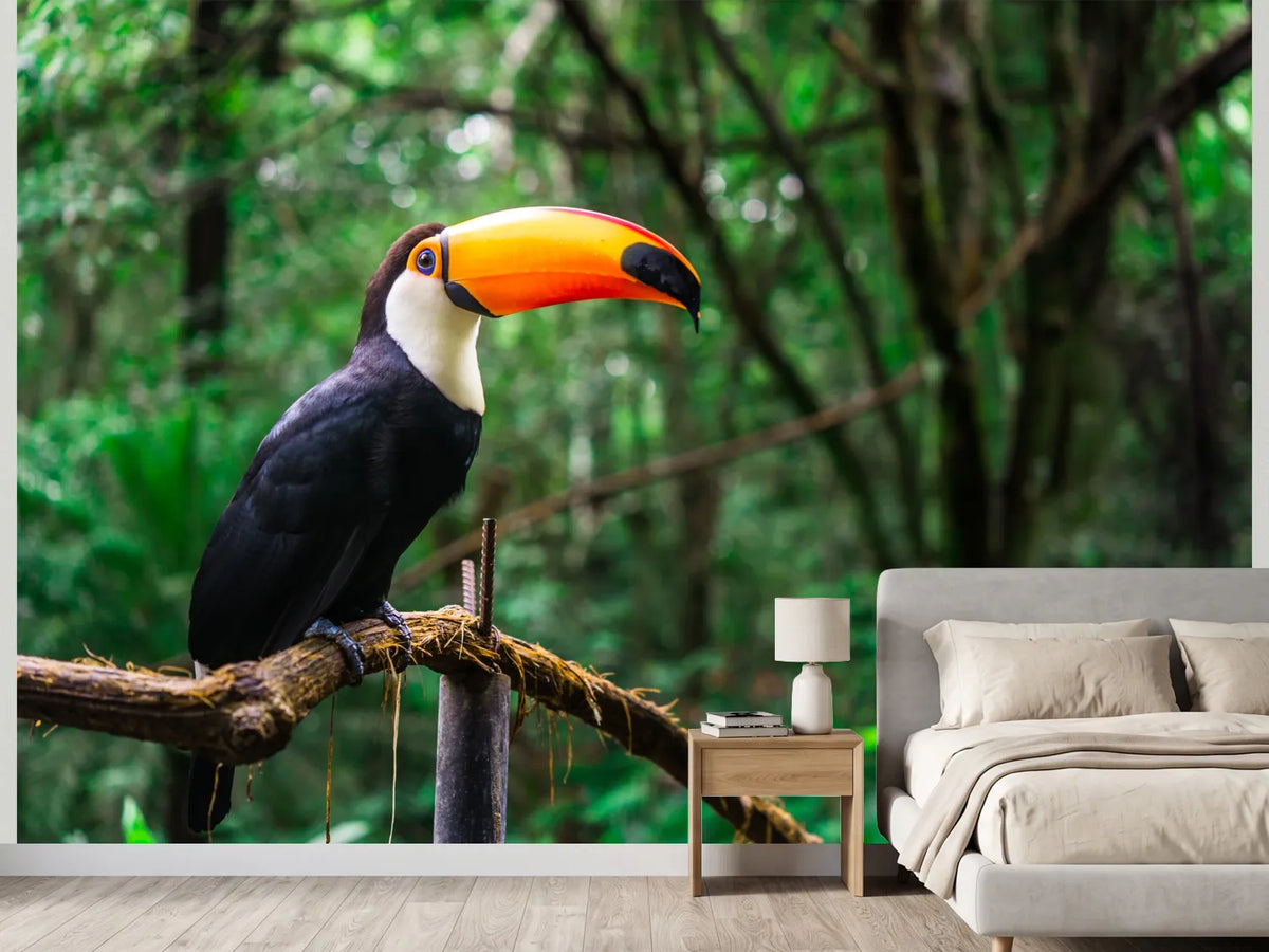 photo-wallpaper-toucan-with-glowing-orange-bill-on-a-branch-in-lush-rainforest