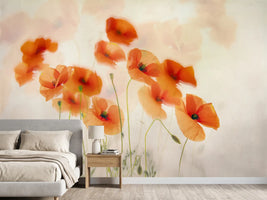 photo-wallpaper-waving-in-the-wind-x