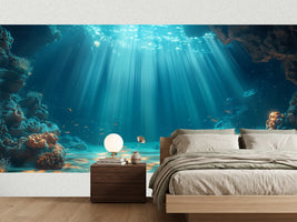 photo-wallpaper-sunlight-filters-through-the-water-in-an-underwater-scene-banner