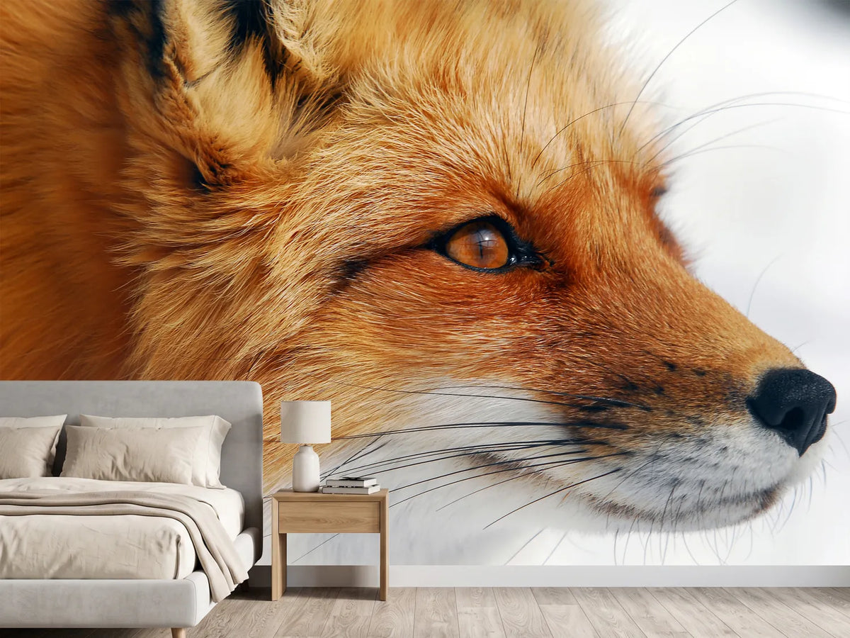photo-wallpaper-red-fox-x