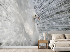 photo-wallpaper-as-white-as-snow