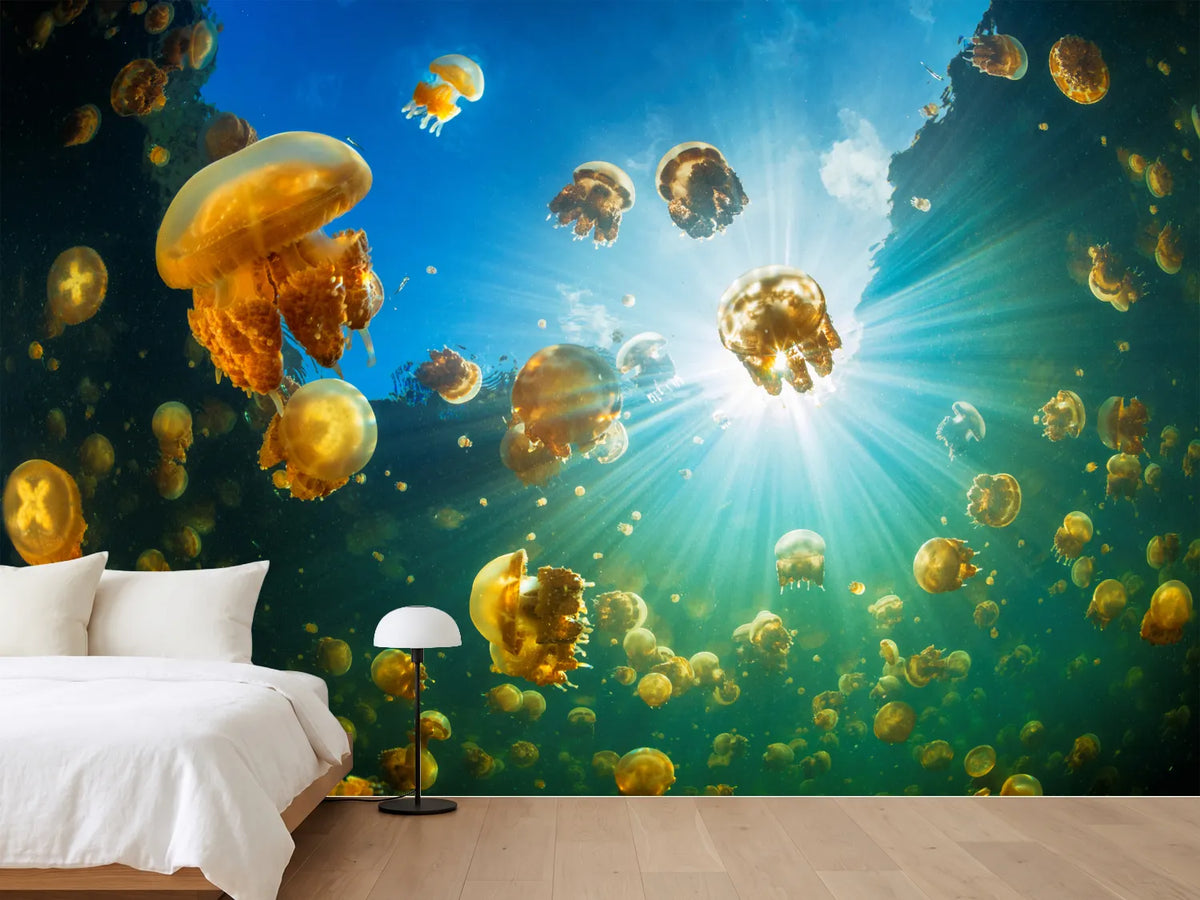 photo-wallpaper-sunlight-and-jellyfish-x