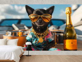 photo-wallpaper-chihuahua-in-golden-shades-and-gold-chain-on-deck-with-champagne