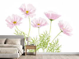 photo-wallpaper-cosmos-cupcake