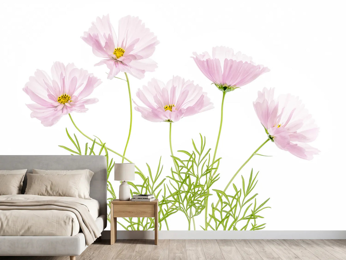 photo-wallpaper-cosmos-cupcake