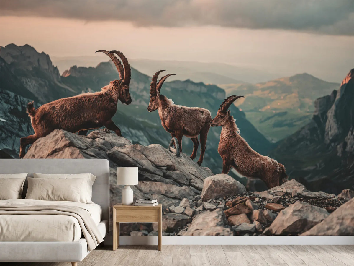 photo-wallpaper-ibexes-in-the-swiss-alps