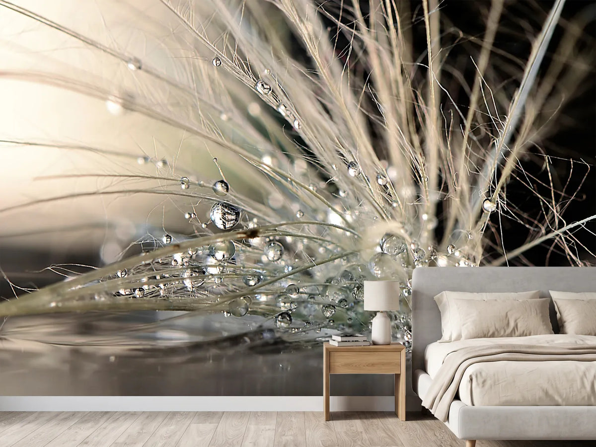 photo-wallpaper-pearls-x
