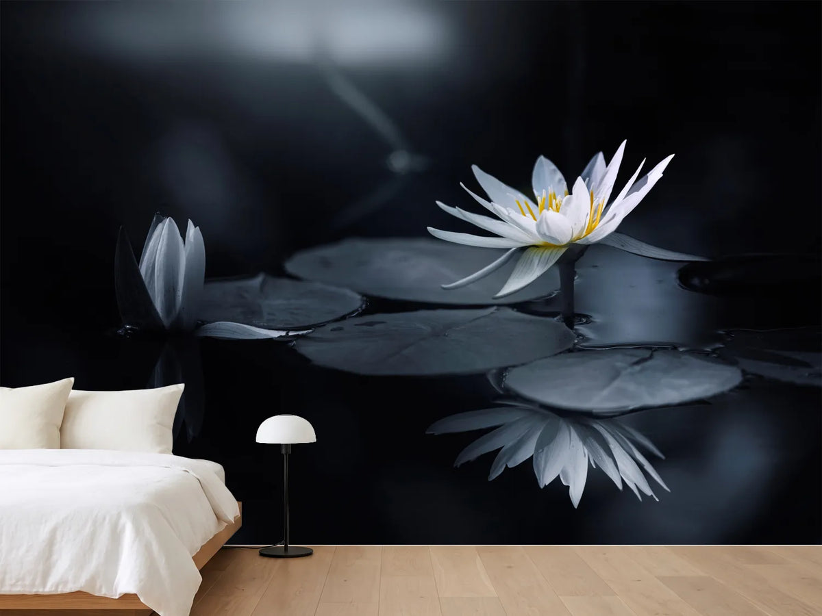 photo-wallpaper-reflection-iv