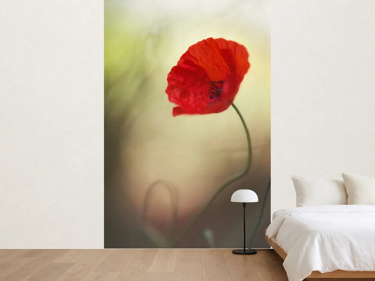 photo-wallpaper-untitled-xx