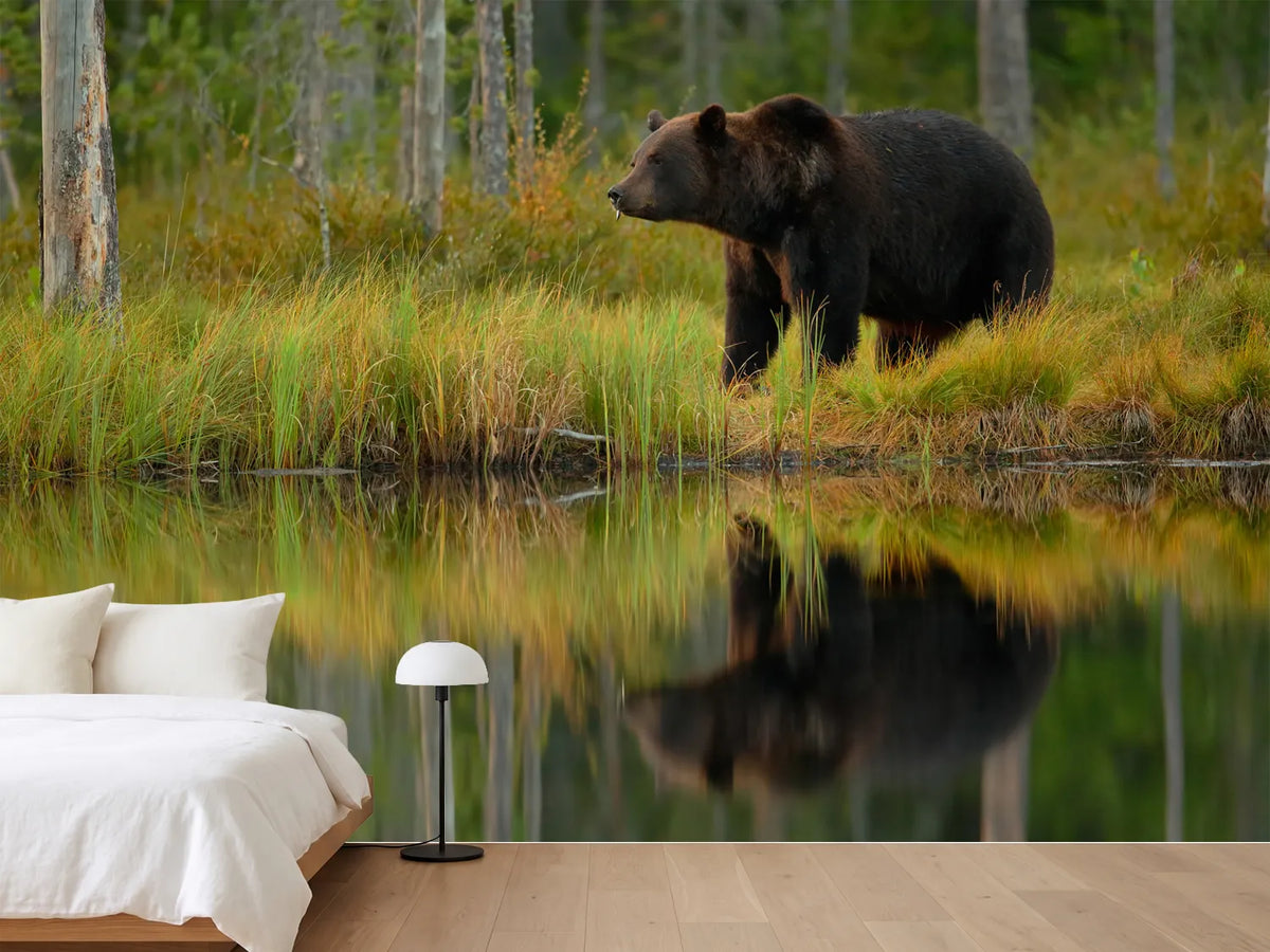 photo-wallpaper-bear-and-fish-x