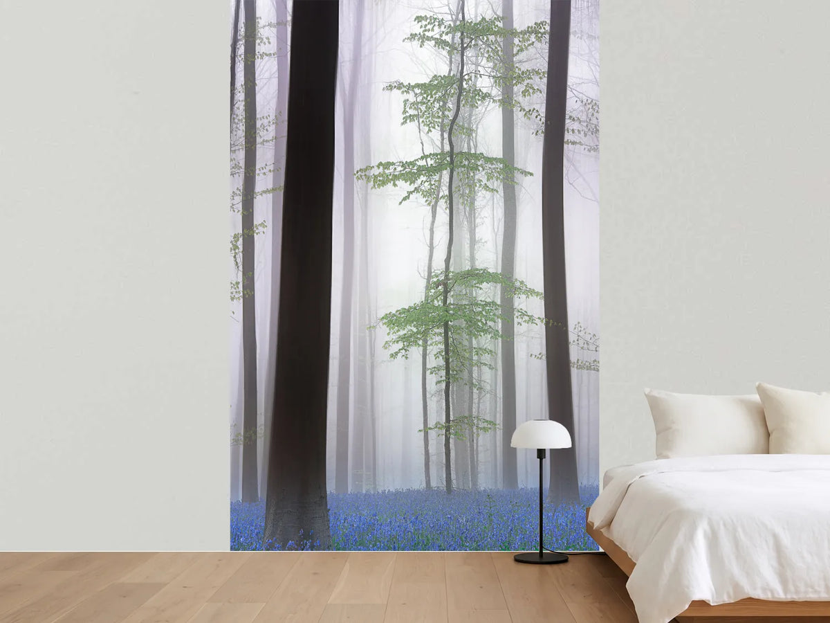 photo-wallpaper-foggy-forest-x