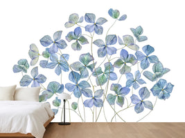 photo-wallpaper-hydrangea-xmy