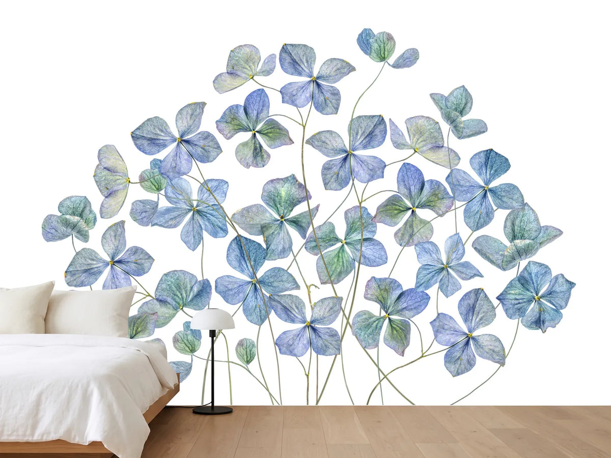 photo-wallpaper-hydrangea-xmy