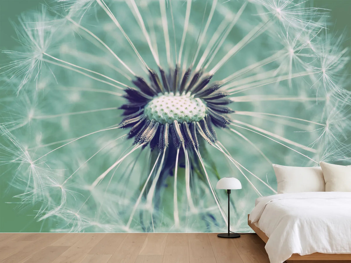 photo-wallpaper-close-up-dandelion