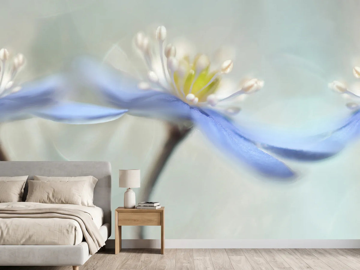 photo-wallpaper-dancing-anemones