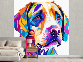photo-wallpaper-labrador-in-bold-pop-art-colours-with-a-close-up-gaze