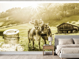 photo-wallpaper-cows-on-the-mountain-pasture