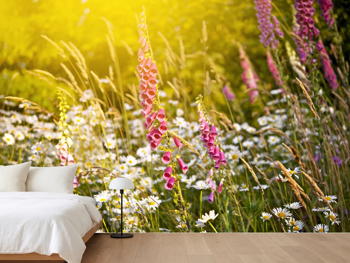 photo-wallpaper-summer-flower-meadow