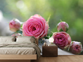 photo-wallpaper-bush-roses