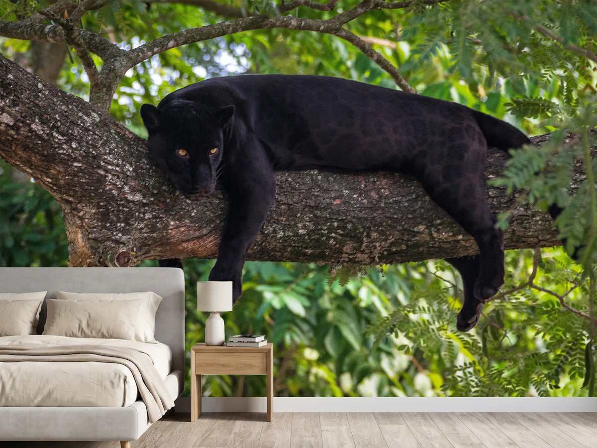 photo-wallpaper-black-panther-on-a-tree-branch