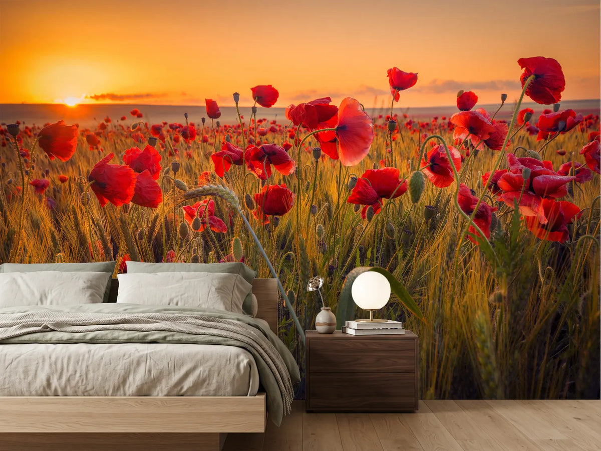 photo-wallpaper-poppies-in-a-wheat-field-at-sunrise