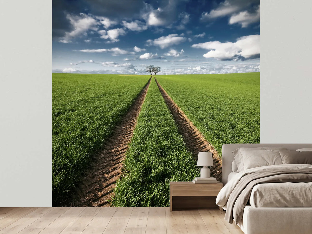 photo-wallpaper-trace-trees