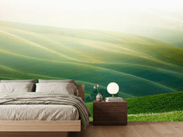 photo-wallpaper-tuscany