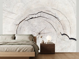 photo-wallpaper-light-wood-grain-texture