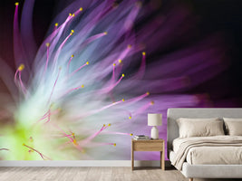 photo-wallpaper-the-will-o-the-wisp