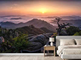 photo-wallpaper-sunrise-on-top-x