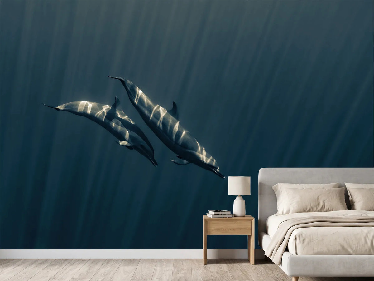 photo-wallpaper-dolphins-underwater-light