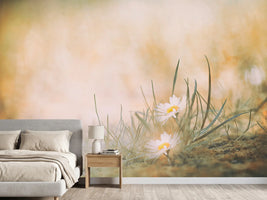 photo-wallpaper-untitled-xfj