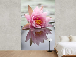 photo-wallpaper-lotus