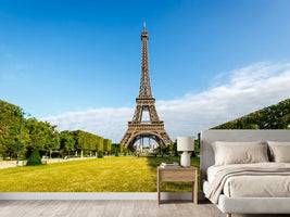 photo-wallpaper-the-eiffel-tower-in-paris