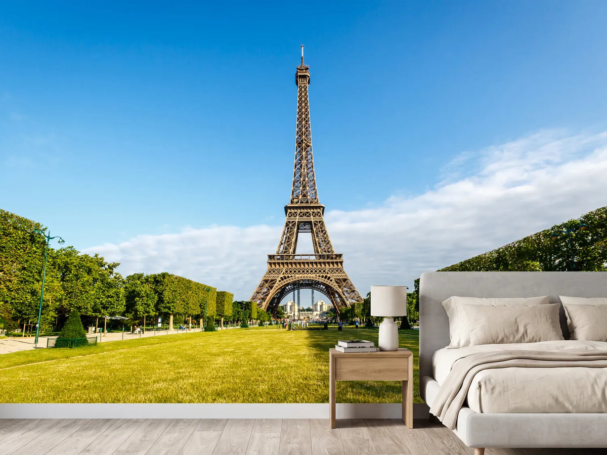 photo-wallpaper-the-eiffel-tower-in-paris