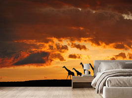 photo-wallpaper-five-giraffes-x