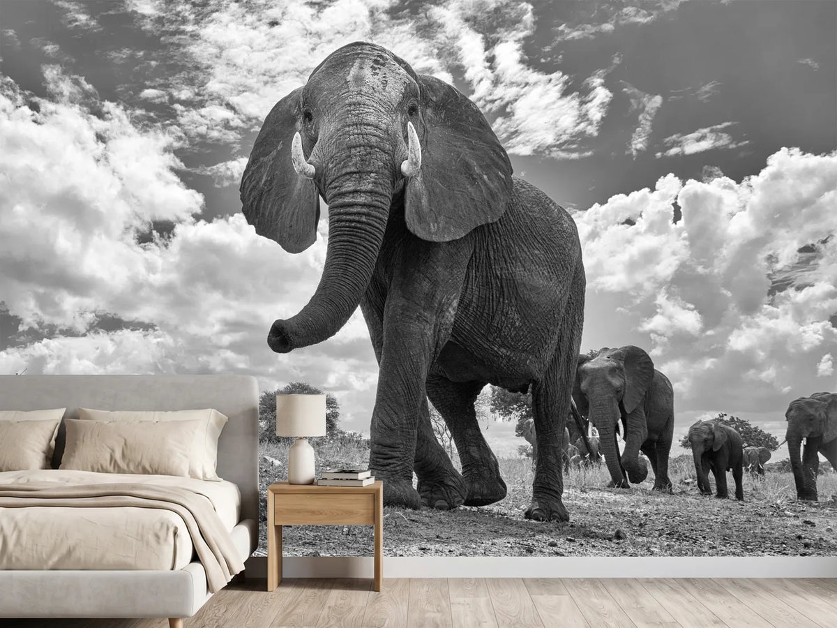 photo-wallpaper-matriarch-march-x