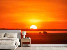 photo-wallpaper-africa-impression-x