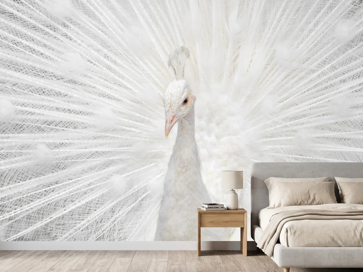 photo-wallpaper-splendid-whitie
