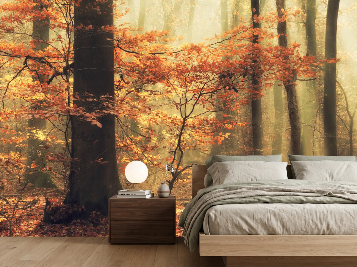 photo-wallpaper-soft-fall-x
