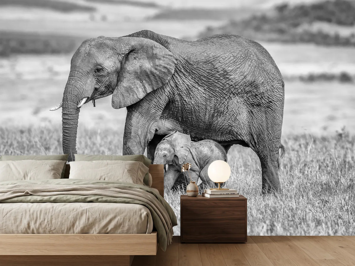 photo-wallpaper-staying-close-and-protected-x