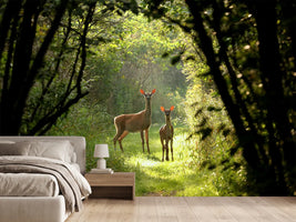 photo-wallpaper-wild-and-free-in-the-forest