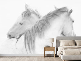photo-wallpaper-horses