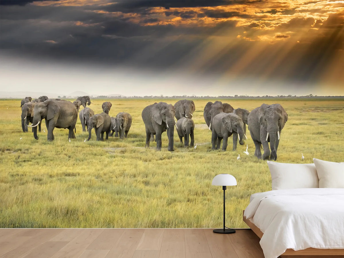 photo-wallpaper-for-the-love-of-elephants-x