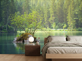 photo-wallpaper-the-pond-in-the-forest