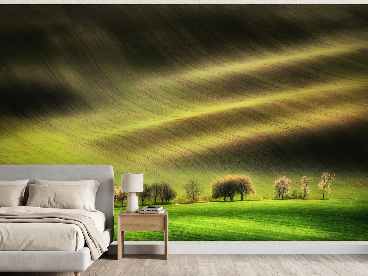 photo-wallpaper-sunlit-spring-hills